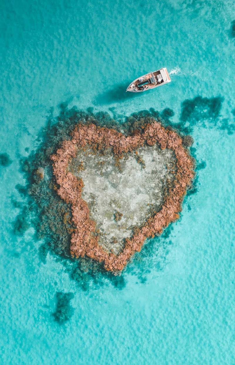 Luftaufnahme des Heart Reef, Whitsundays, Queensland © Saltywings