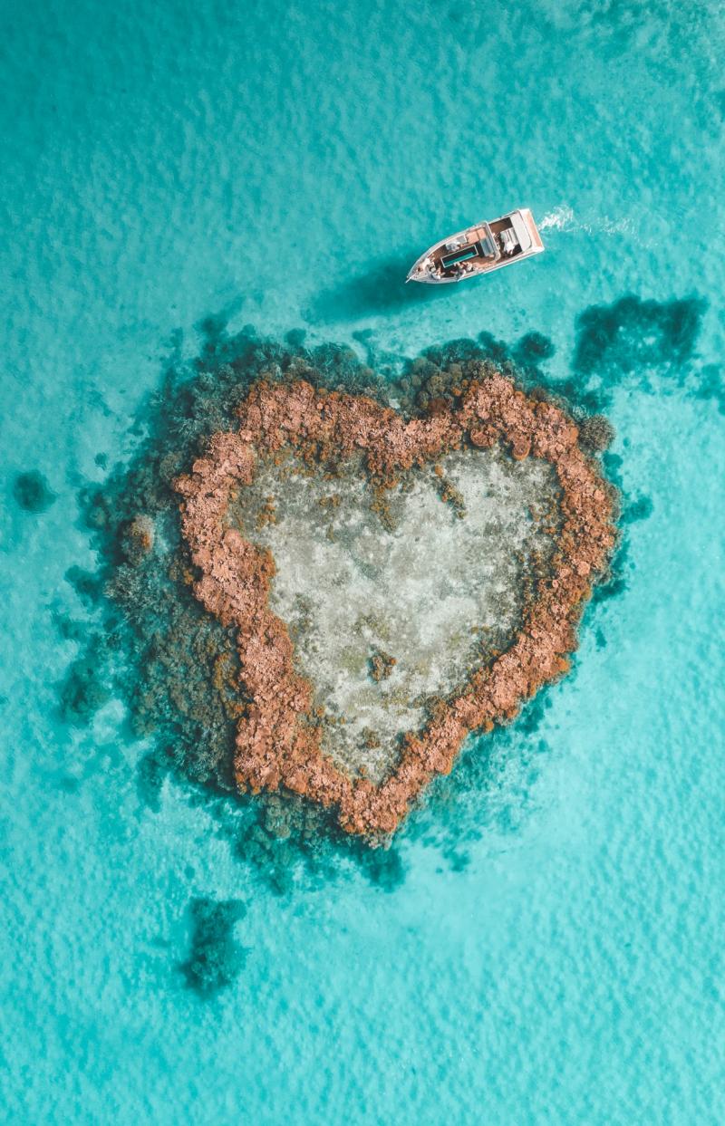 昆士蘭聖靈群島心形礁鳥瞰圖 © Saltywings